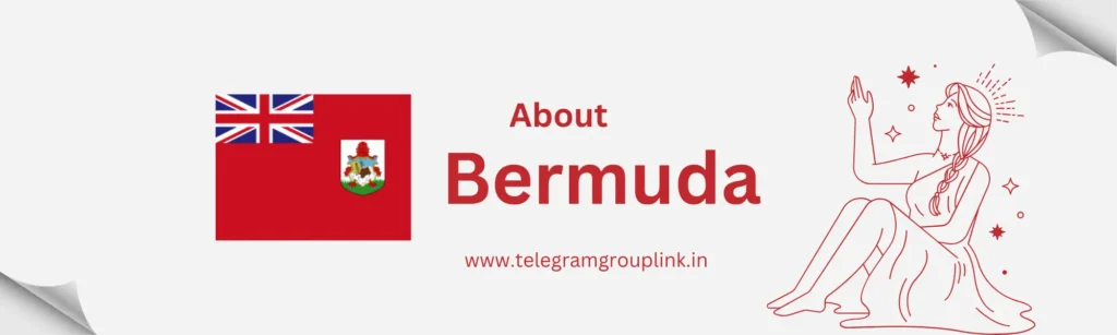 Bermuda Telegram Group Link